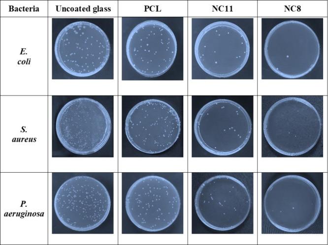 https://cdn.ncbi.nlm.nih.gov/pmc/blobs/1098/12079232/816257e5a164/ao4c03612_0007.jpg