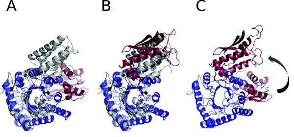 https://cdn.ncbi.nlm.nih.gov/pmc/blobs/1098/3098053/1d9f1656ef46/1471-2105-11-155-6.jpg