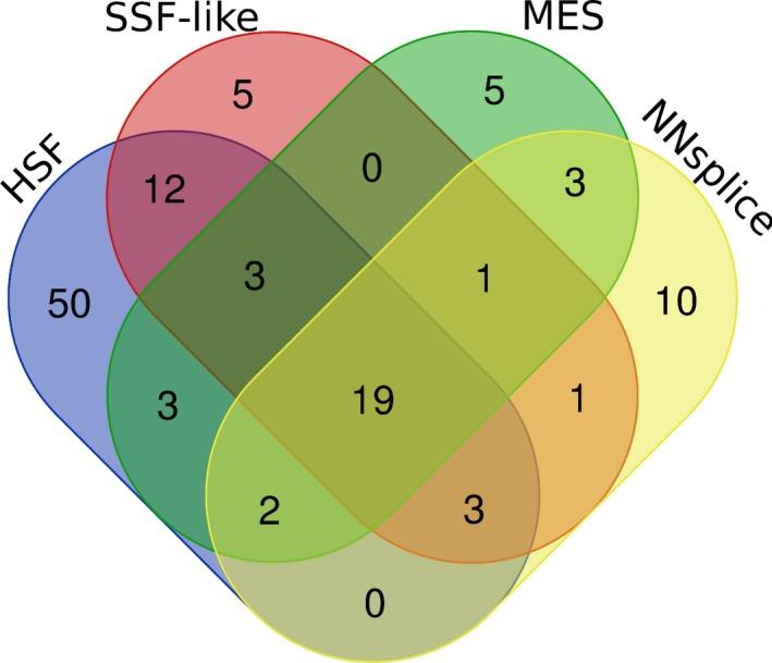 https://cdn.ncbi.nlm.nih.gov/pmc/blobs/1098/6687662/c9d9ae75f0cb/MGG3-7-e840-g001.jpg