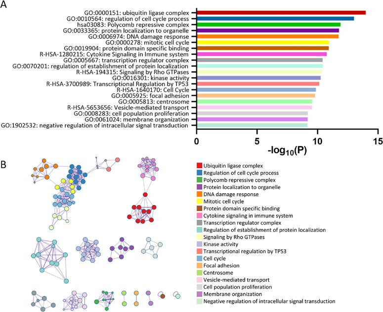 https://cdn.ncbi.nlm.nih.gov/pmc/blobs/1099/12045114/448d3dfad0aa/iovs-66-4-80-f003.jpg