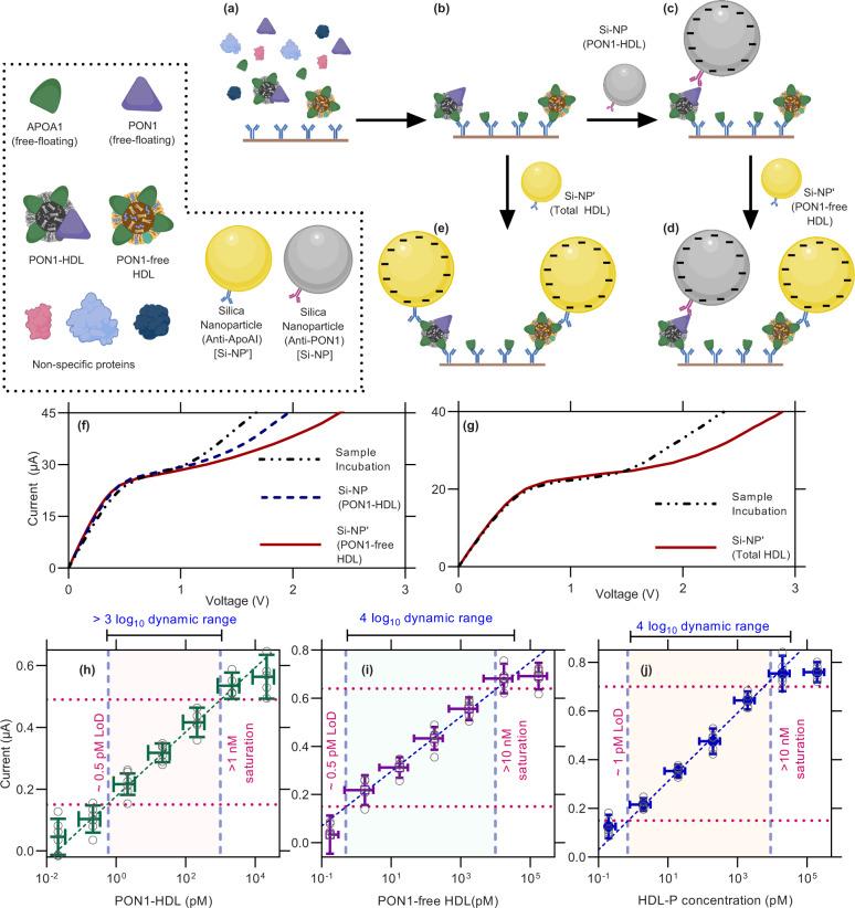 https://cdn.ncbi.nlm.nih.gov/pmc/blobs/1099/9895453/76413b6b7d0d/41467_2023_36258_Fig2_HTML.jpg