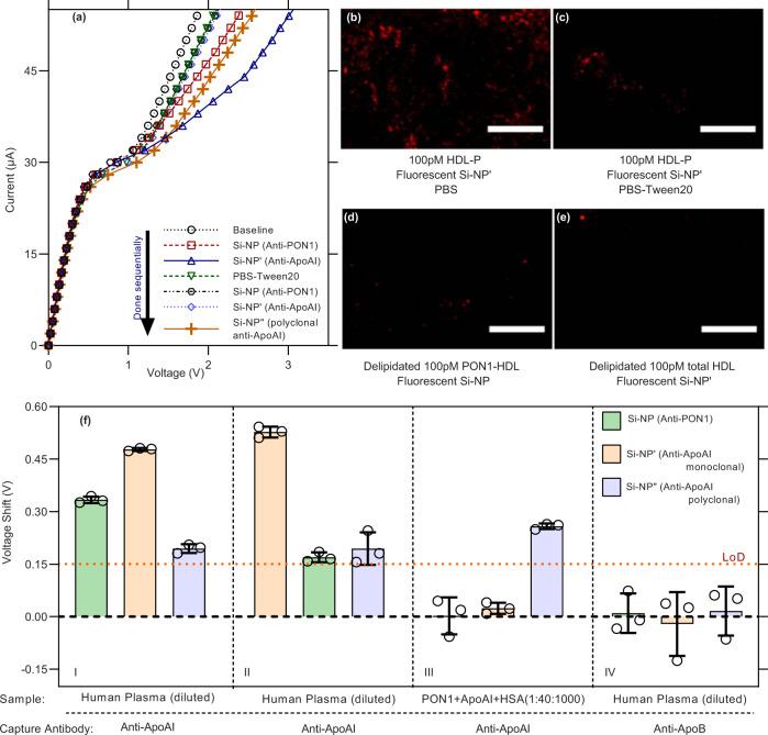 https://cdn.ncbi.nlm.nih.gov/pmc/blobs/1099/9895453/7a5954902db0/41467_2023_36258_Fig5_HTML.jpg
