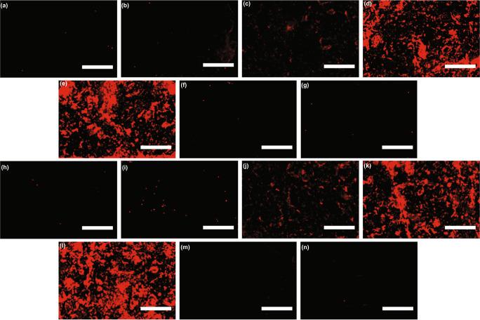 https://cdn.ncbi.nlm.nih.gov/pmc/blobs/1099/9895453/f8acdc8385c2/41467_2023_36258_Fig3_HTML.jpg