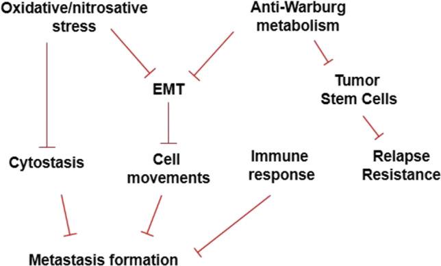 https://cdn.ncbi.nlm.nih.gov/pmc/blobs/109b/8825384/f94a03bf1a07/10555_2021_10013_Fig4_HTML.jpg