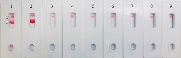 https://cdn.ncbi.nlm.nih.gov/pmc/blobs/109b/9995903/03e988320fbf/fimmu-14-1111644-g006.jpg
