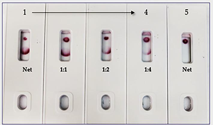 https://cdn.ncbi.nlm.nih.gov/pmc/blobs/109b/9995903/870e6f0d1ebc/fimmu-14-1111644-g011.jpg
