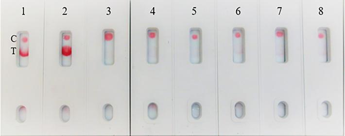 https://cdn.ncbi.nlm.nih.gov/pmc/blobs/109b/9995903/bcbd5eb816d5/fimmu-14-1111644-g010.jpg