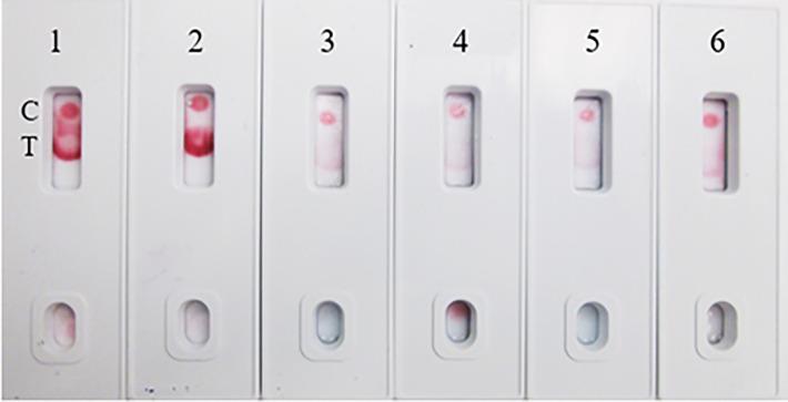 https://cdn.ncbi.nlm.nih.gov/pmc/blobs/109b/9995903/fe17bfd0af32/fimmu-14-1111644-g009.jpg