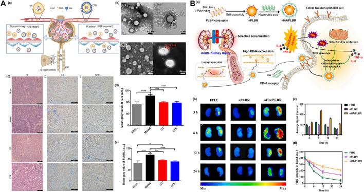 https://cdn.ncbi.nlm.nih.gov/pmc/blobs/109e/9949729/03ae6c0fea8d/fbioe-11-1120148-g008.jpg