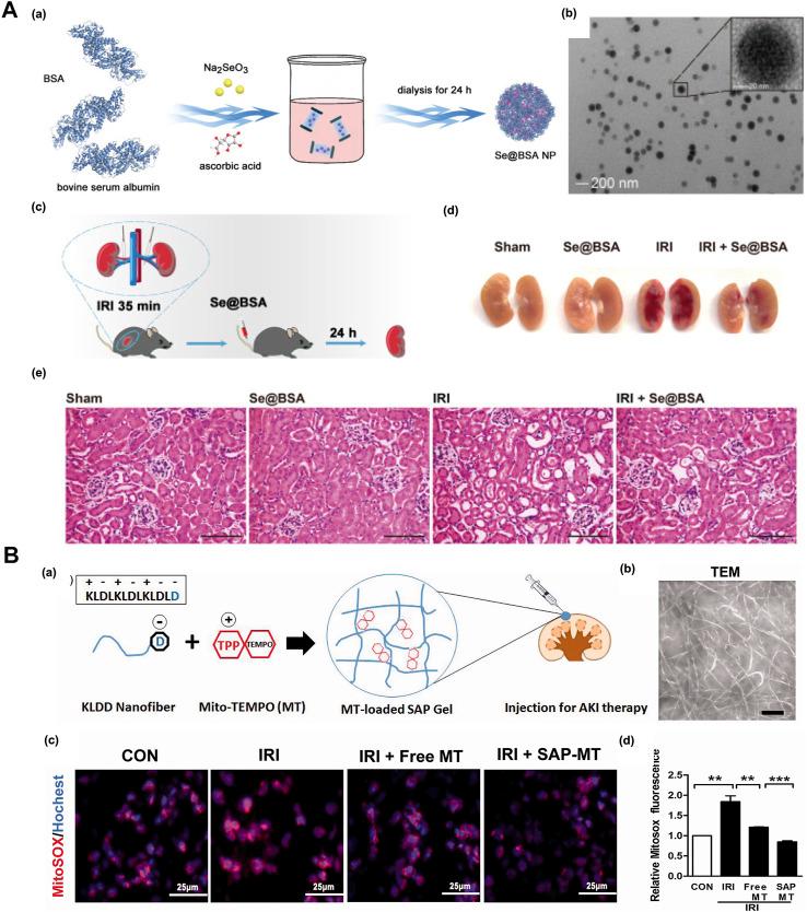 https://cdn.ncbi.nlm.nih.gov/pmc/blobs/109e/9949729/515bd8048902/fbioe-11-1120148-g004.jpg