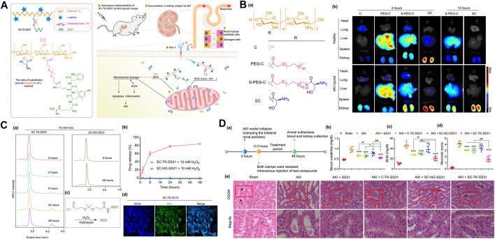 https://cdn.ncbi.nlm.nih.gov/pmc/blobs/109e/9949729/883403b4a0db/fbioe-11-1120148-g003.jpg