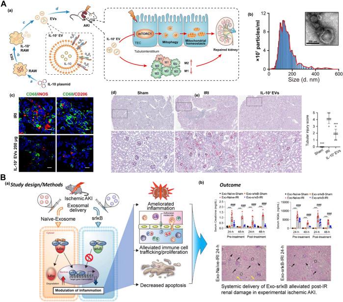 https://cdn.ncbi.nlm.nih.gov/pmc/blobs/109e/9949729/a943a3e1fcd8/fbioe-11-1120148-g007.jpg