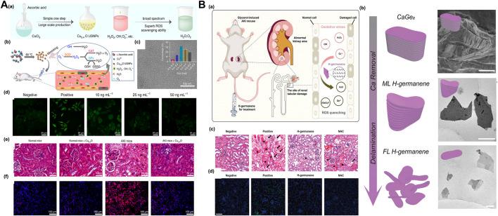 https://cdn.ncbi.nlm.nih.gov/pmc/blobs/109e/9949729/e71f3be7b17a/fbioe-11-1120148-g006.jpg
