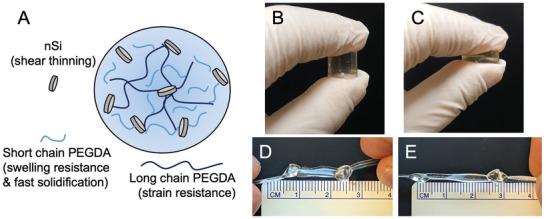 https://cdn.ncbi.nlm.nih.gov/pmc/blobs/109f/11468792/faa3ef128f67/ADHM-12-2202632-g001.jpg