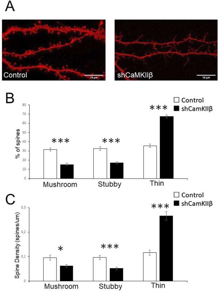 https://cdn.ncbi.nlm.nih.gov/pmc/blobs/109f/8777283/1b3069187a7d/gr4.jpg