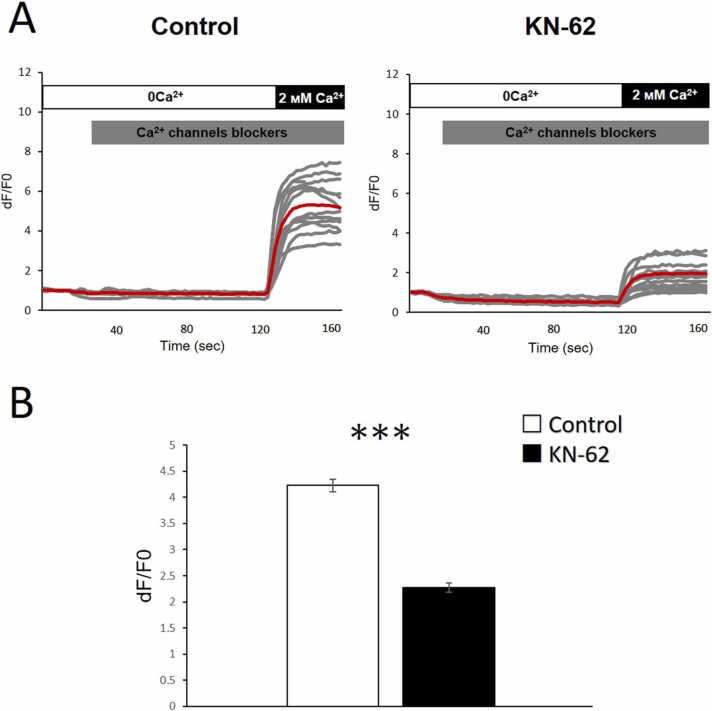 https://cdn.ncbi.nlm.nih.gov/pmc/blobs/109f/8777283/3ad13b7b5d86/gr2.jpg