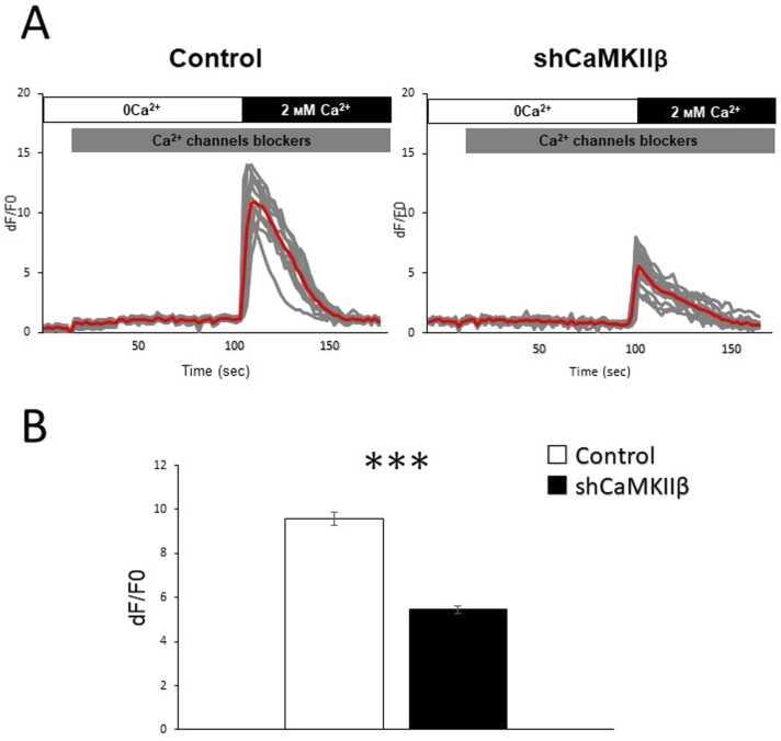 https://cdn.ncbi.nlm.nih.gov/pmc/blobs/109f/8777283/559142682cf3/gr5.jpg