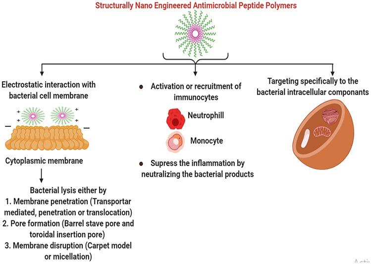 https://cdn.ncbi.nlm.nih.gov/pmc/blobs/10a0/8286942/a4e240ffc0b3/11274_2021_3109_Fig5_HTML.jpg