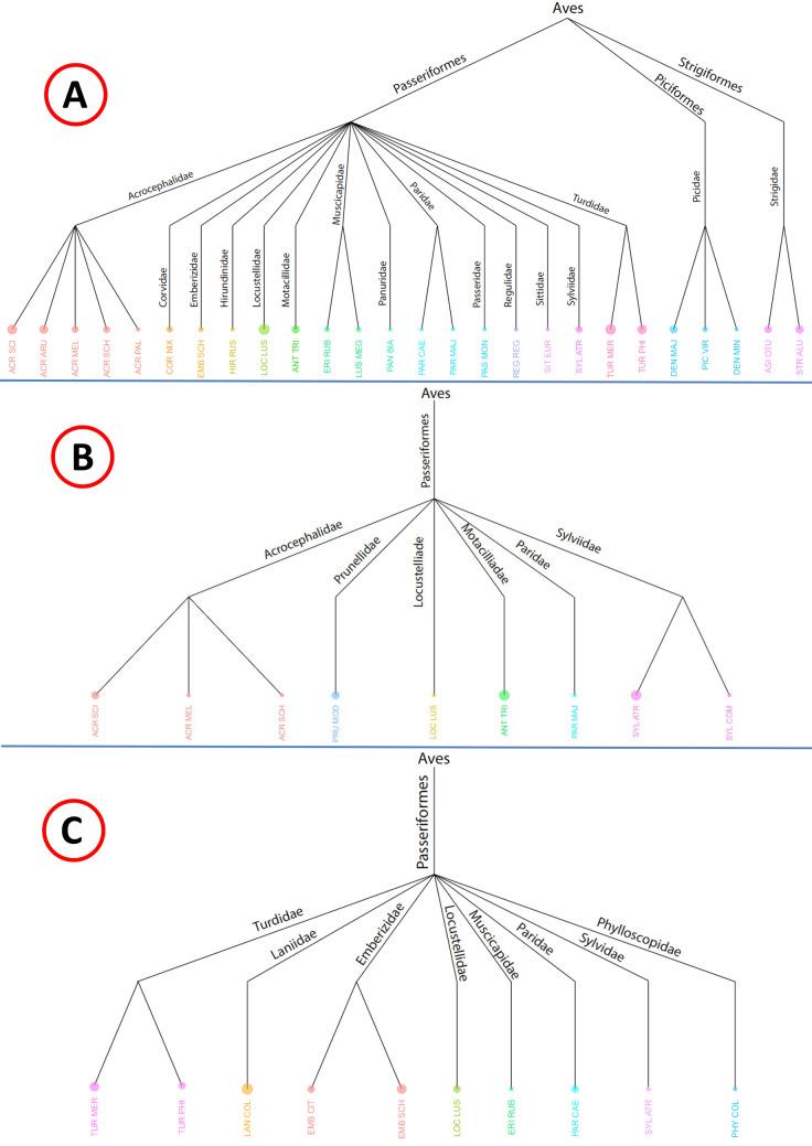 https://cdn.ncbi.nlm.nih.gov/pmc/blobs/10a1/11129389/354f459899a5/13071_2024_6303_Fig5_HTML.jpg