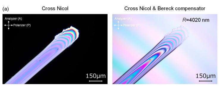 https://cdn.ncbi.nlm.nih.gov/pmc/blobs/10a1/9227632/3018a8b6ed72/polymers-14-02511-g014a.jpg