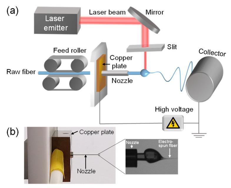 https://cdn.ncbi.nlm.nih.gov/pmc/blobs/10a1/9227632/4ec429d595dd/polymers-14-02511-g001.jpg