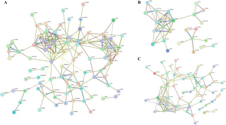 https://cdn.ncbi.nlm.nih.gov/pmc/blobs/10a5/12108730/59063a70554d/biomedicines-13-01035-g004.jpg