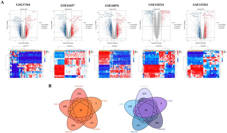 https://cdn.ncbi.nlm.nih.gov/pmc/blobs/10a5/12108730/61c18125a50e/biomedicines-13-01035-g002.jpg