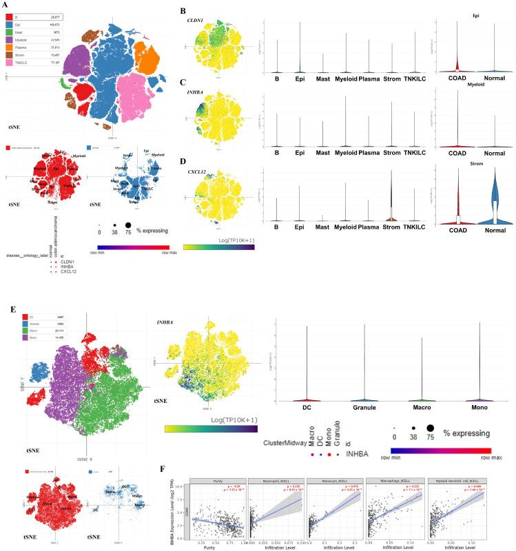 https://cdn.ncbi.nlm.nih.gov/pmc/blobs/10a5/12108730/67a10cf1ed98/biomedicines-13-01035-g007.jpg