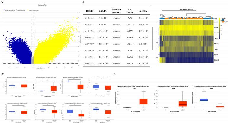 https://cdn.ncbi.nlm.nih.gov/pmc/blobs/10a5/12108730/c4d378bd6741/biomedicines-13-01035-g006.jpg