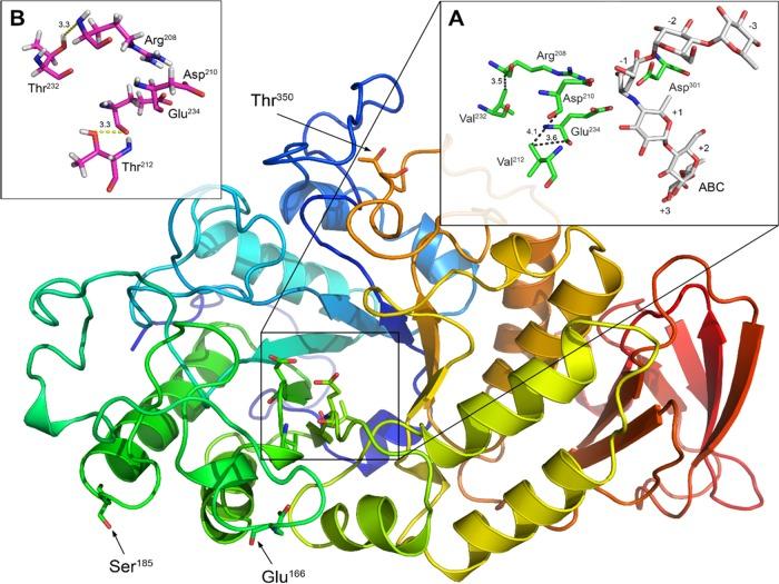 https://cdn.ncbi.nlm.nih.gov/pmc/blobs/10a6/5478988/6d3cee825f74/zam9991179150003.jpg