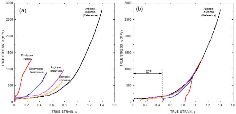 https://cdn.ncbi.nlm.nih.gov/pmc/blobs/10a6/8004941/8484fef2e844/molecules-26-01794-g002.jpg