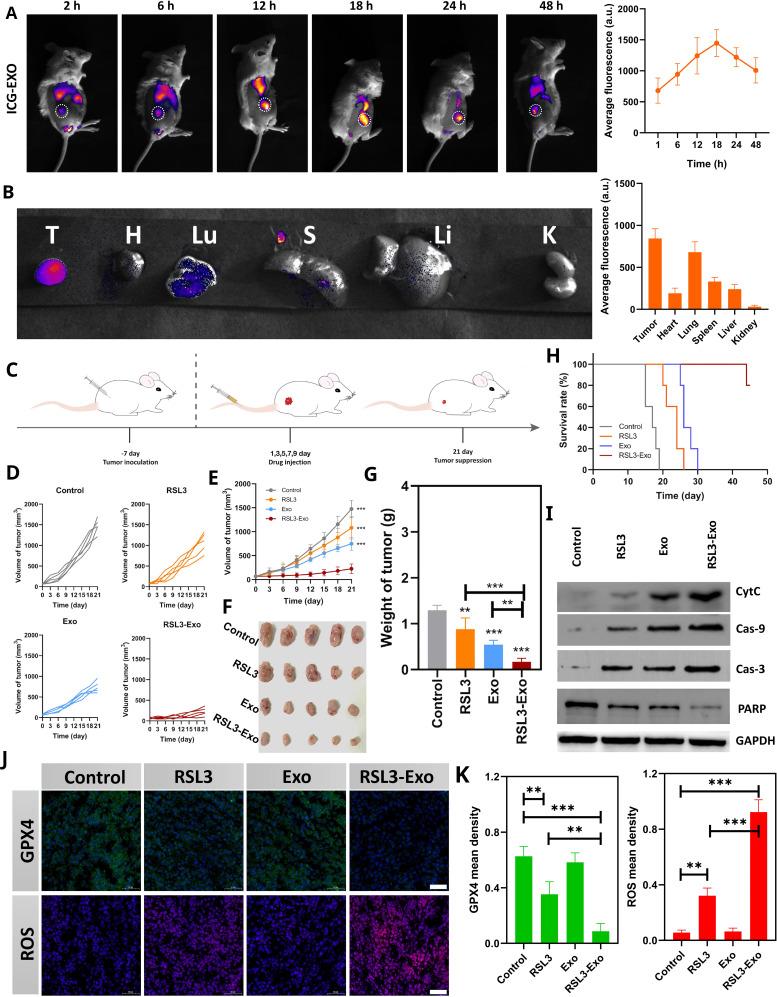 https://cdn.ncbi.nlm.nih.gov/pmc/blobs/10aa/10193064/4ea027ec6422/jitc-2022-006516f04.jpg