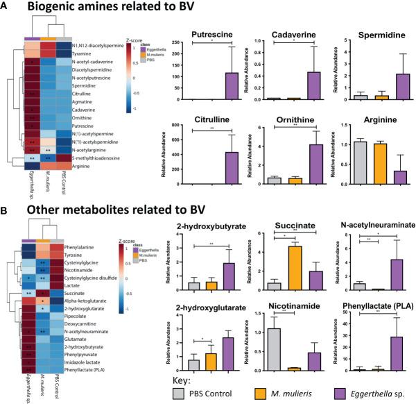 https://cdn.ncbi.nlm.nih.gov/pmc/blobs/10ab/8733642/a80906069358/fcimb-11-759697-g006.jpg