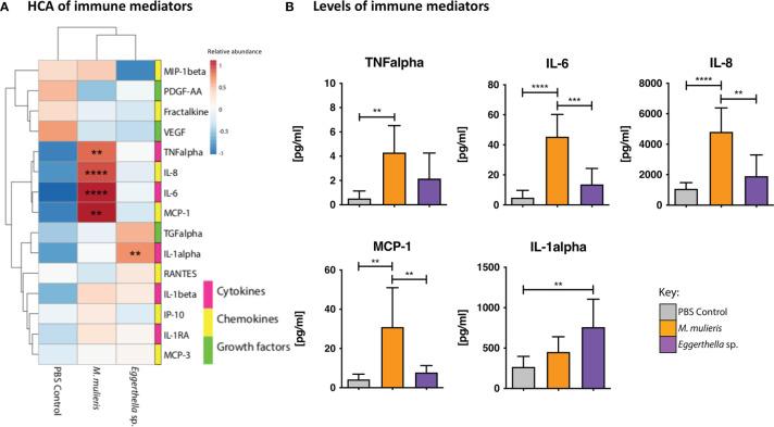 https://cdn.ncbi.nlm.nih.gov/pmc/blobs/10ab/8733642/ca92a66390c8/fcimb-11-759697-g002.jpg