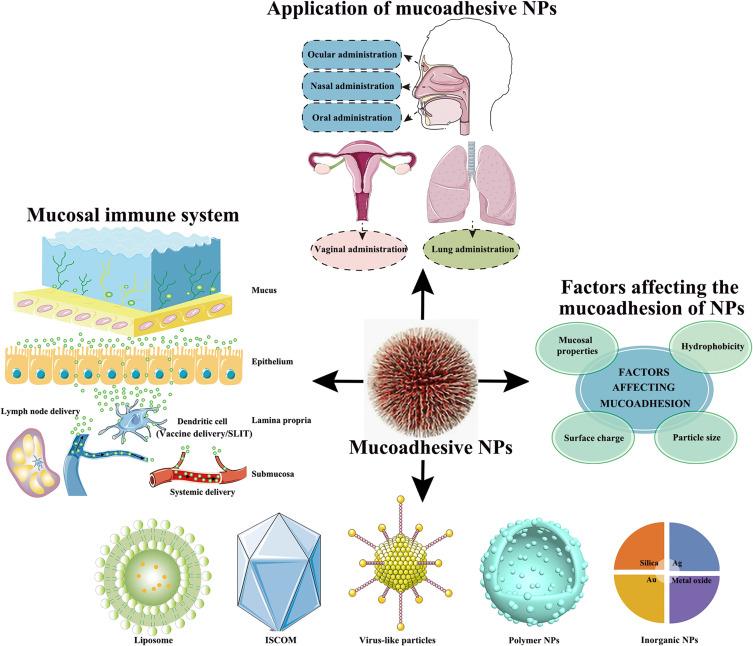 https://cdn.ncbi.nlm.nih.gov/pmc/blobs/10ab/9527817/2df1728b88b6/IJN-17-4579-g0001.jpg