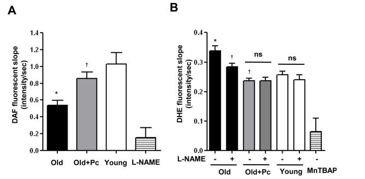 https://cdn.ncbi.nlm.nih.gov/pmc/blobs/10ac/5214914/060533770d3c/kjpp-21-83-g002.jpg