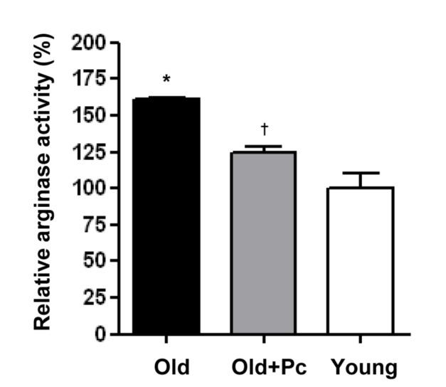 https://cdn.ncbi.nlm.nih.gov/pmc/blobs/10ac/5214914/5ae7eb9be122/kjpp-21-83-g001.jpg