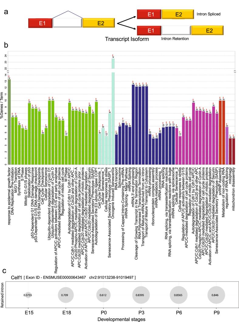 https://cdn.ncbi.nlm.nih.gov/pmc/blobs/10ac/5599659/5055b2161606/41598_2017_10615_Fig5_HTML.jpg