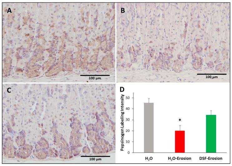 https://cdn.ncbi.nlm.nih.gov/pmc/blobs/10ac/8301058/2438fcd71d3c/biology-10-00596-g009.jpg