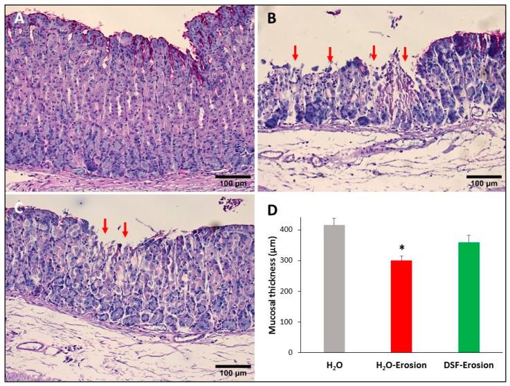 https://cdn.ncbi.nlm.nih.gov/pmc/blobs/10ac/8301058/a65640bbecac/biology-10-00596-g003.jpg