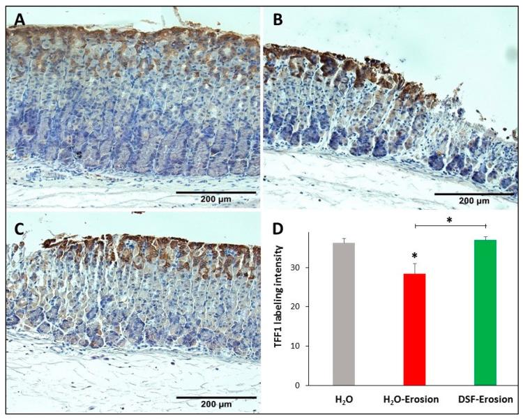 https://cdn.ncbi.nlm.nih.gov/pmc/blobs/10ac/8301058/aaeeb59c8e3c/biology-10-00596-g007.jpg