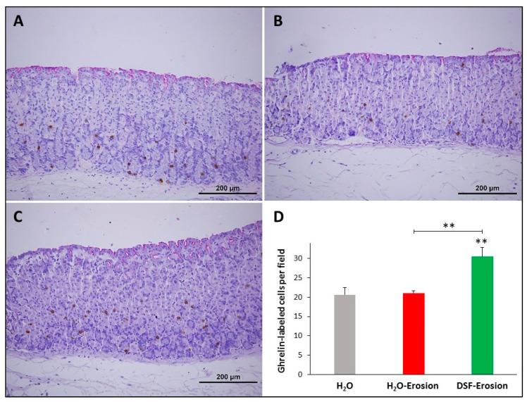 https://cdn.ncbi.nlm.nih.gov/pmc/blobs/10ac/8301058/bb2973e4366c/biology-10-00596-g010.jpg