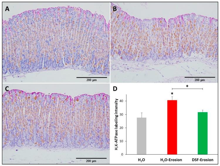 https://cdn.ncbi.nlm.nih.gov/pmc/blobs/10ac/8301058/d19584f6b099/biology-10-00596-g005.jpg