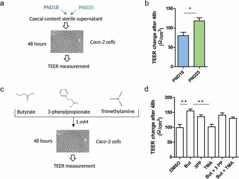 https://cdn.ncbi.nlm.nih.gov/pmc/blobs/10ae/7524271/5f15759f124b/KGMI_A_1747335_F0005_C.jpg