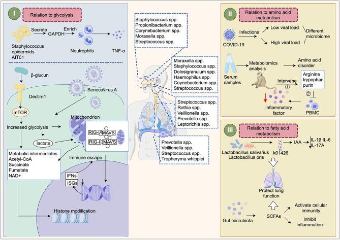 https://cdn.ncbi.nlm.nih.gov/pmc/blobs/10b2/12042608/0d359e801db5/12967_2025_6433_Fig4_HTML.jpg