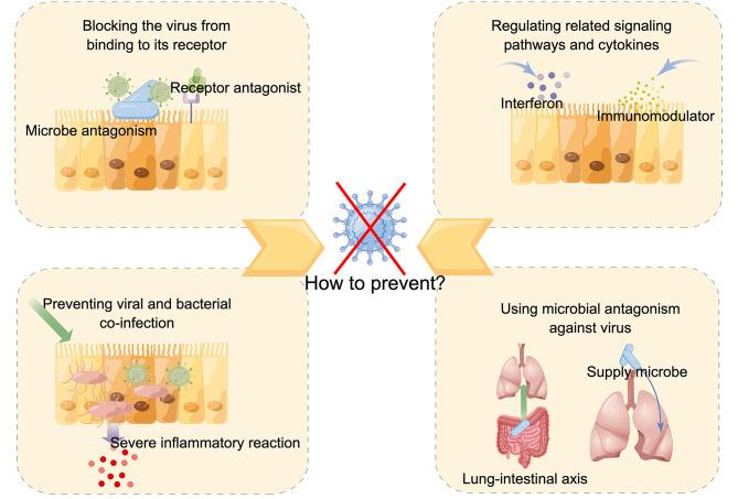 https://cdn.ncbi.nlm.nih.gov/pmc/blobs/10b2/12042608/940bd8968963/12967_2025_6433_Fig7_HTML.jpg