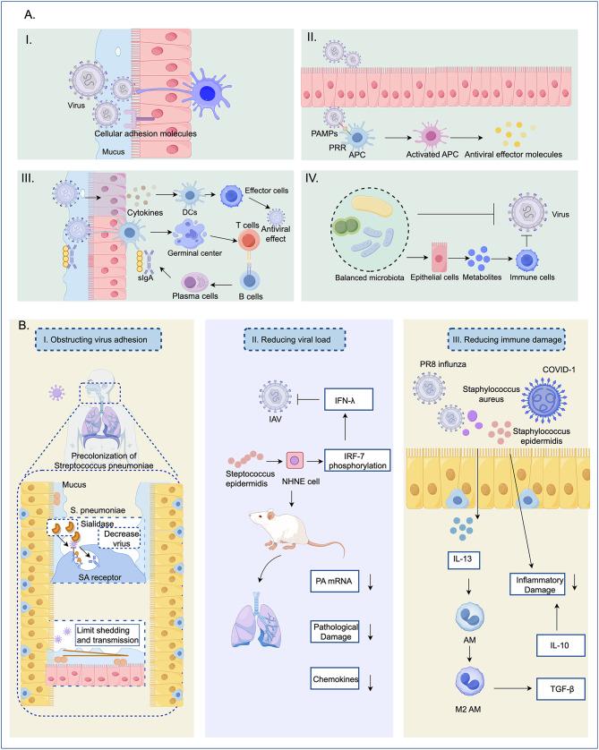 https://cdn.ncbi.nlm.nih.gov/pmc/blobs/10b2/12042608/b17122936d95/12967_2025_6433_Fig6_HTML.jpg