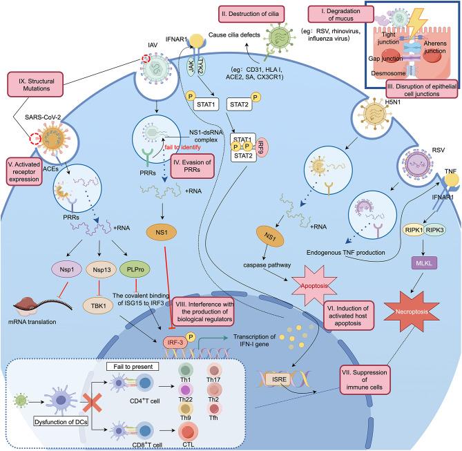 https://cdn.ncbi.nlm.nih.gov/pmc/blobs/10b2/12042608/c6dec97de6ac/12967_2025_6433_Fig5_HTML.jpg