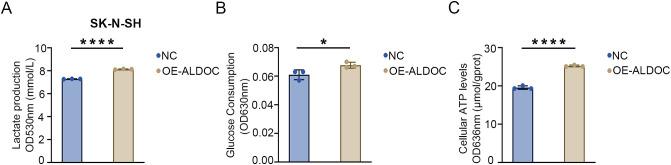 https://cdn.ncbi.nlm.nih.gov/pmc/blobs/10b2/12043483/bc73a0461199/fimmu-16-1573815-g006.jpg