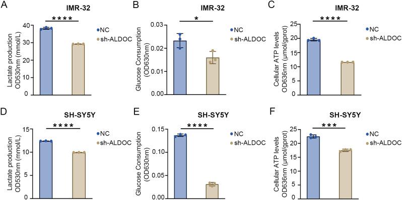 https://cdn.ncbi.nlm.nih.gov/pmc/blobs/10b2/12043483/d928ea6639af/fimmu-16-1573815-g005.jpg